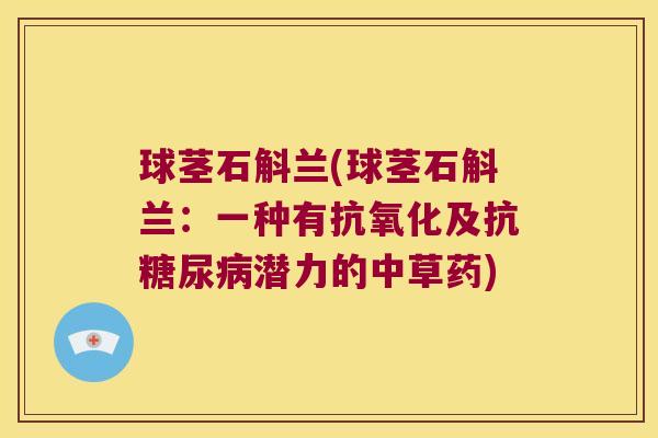 球茎石斛兰(球茎石斛兰：一种有抗氧化及抗糖尿病潜力的中草药)