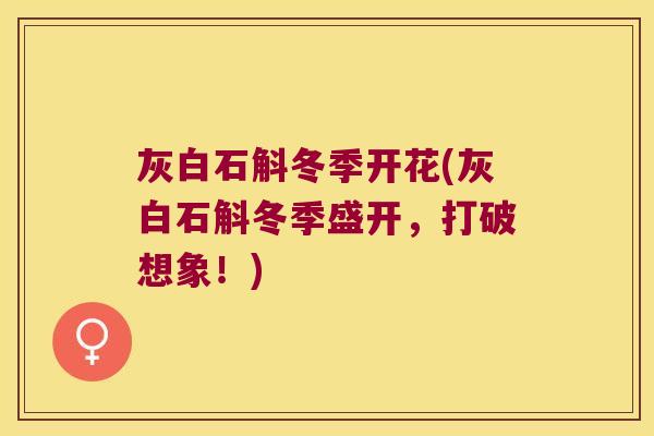 灰白石斛冬季开花(灰白石斛冬季盛开，打破想象！)