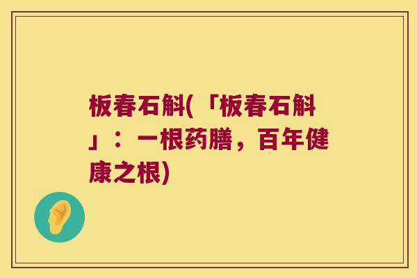板春石斛(「板春石斛」：一根药膳，百年健康之根)