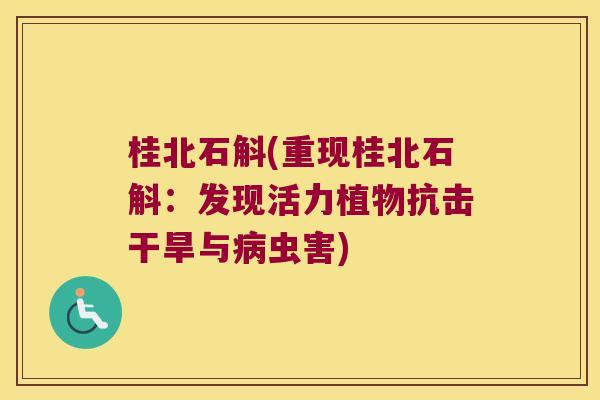 桂北石斛(重现桂北石斛：发现活力植物抗击干旱与病虫害)
