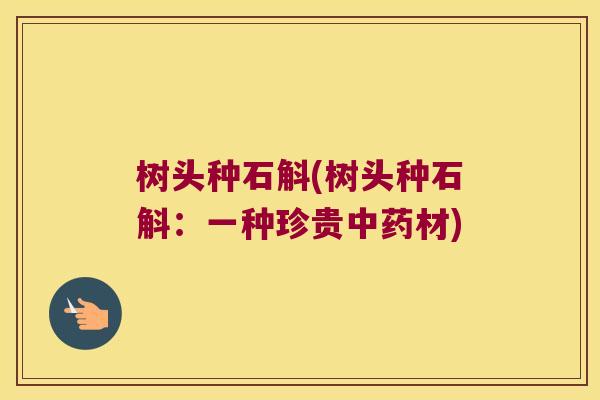 树头种石斛(树头种石斛：一种珍贵中药材)