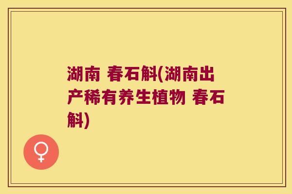 湖南 春石斛(湖南出产稀有养生植物 春石斛)