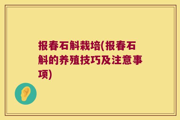 报春石斛栽培(报春石斛的养殖技巧及注意事项)