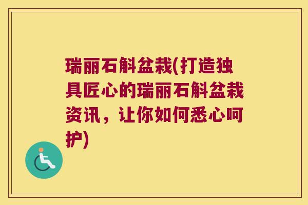 瑞丽石斛盆栽(打造独具匠心的瑞丽石斛盆栽资讯，让你如何悉心呵护)