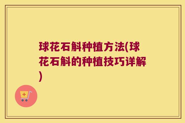 球花石斛种植方法(球花石斛的种植技巧详解)
