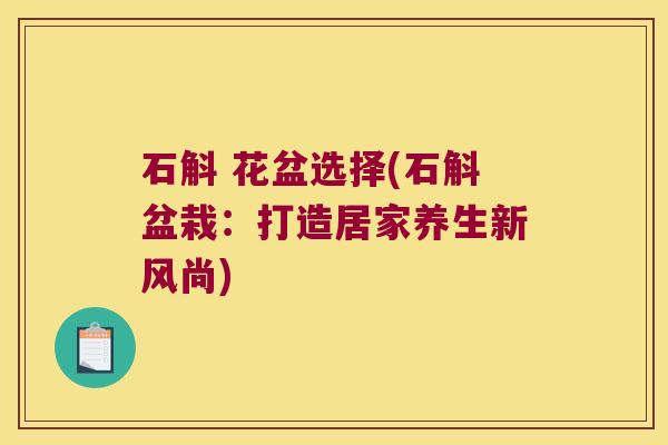 石斛 花盆选择(石斛盆栽：打造居家养生新风尚)