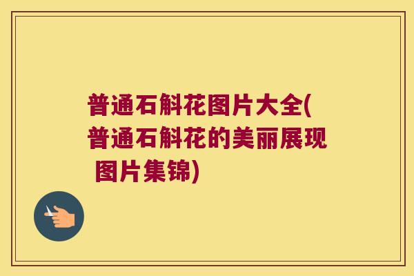 普通石斛花图片大全(普通石斛花的美丽展现 图片集锦)