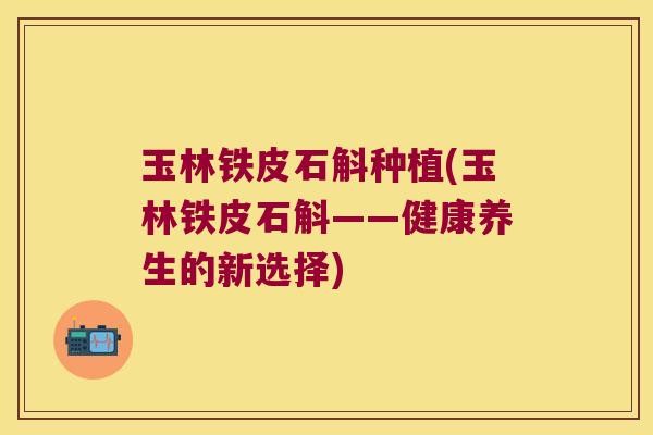 玉林铁皮石斛种植(玉林铁皮石斛——健康养生的新选择)
