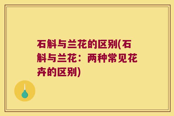 石斛与兰花的区别(石斛与兰花：两种常见花卉的区别)