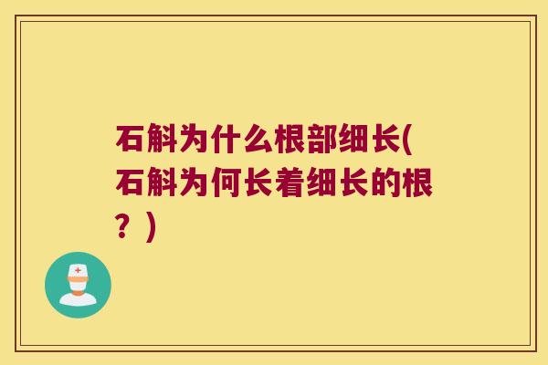 石斛为什么根部细长(石斛为何长着细长的根？)