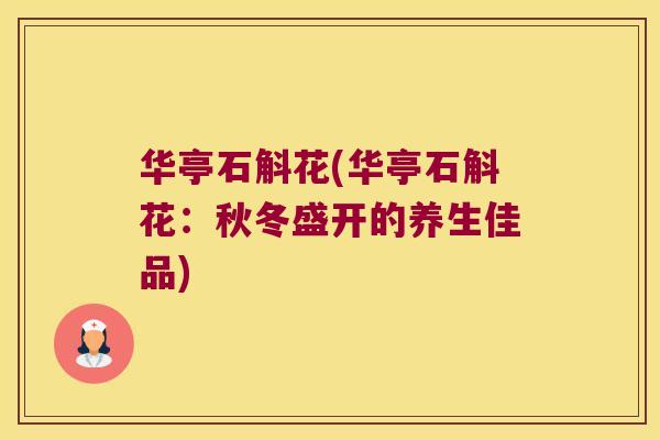 华亭石斛花(华亭石斛花:秋冬盛开的养生佳品) 华亭石斛花(华亭石斛花:秋冬盛开的养生佳品)