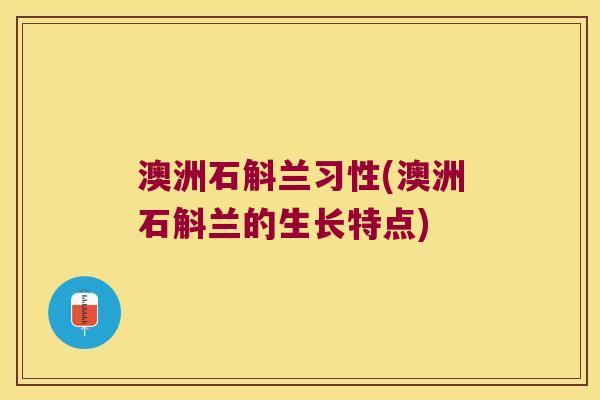 澳洲石斛兰习性(澳洲石斛兰的生长特点)