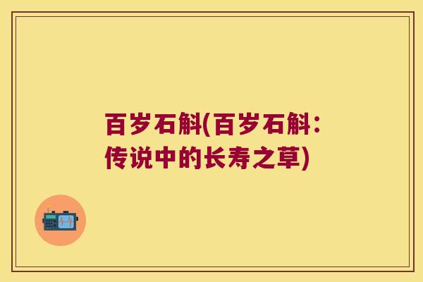 百岁石斛(百岁石斛：传说中的长寿之草)