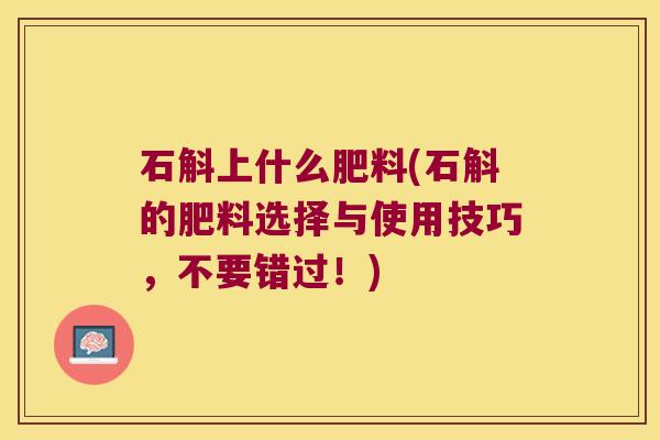 石斛上什么肥料(石斛的肥料选择与使用技巧，不要错过！)