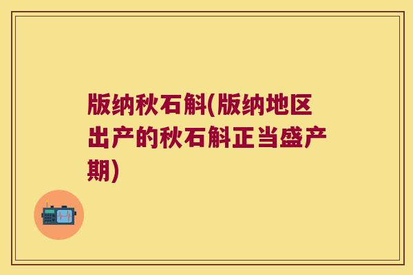 版纳秋石斛(版纳地区出产的秋石斛正当盛产期)