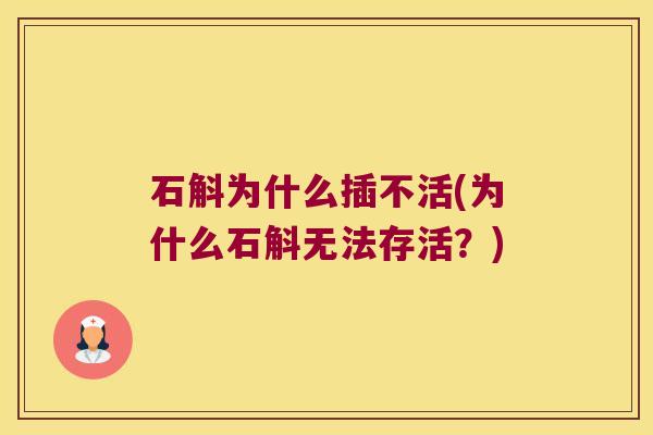 石斛为什么插不活(为什么石斛无法存活？)