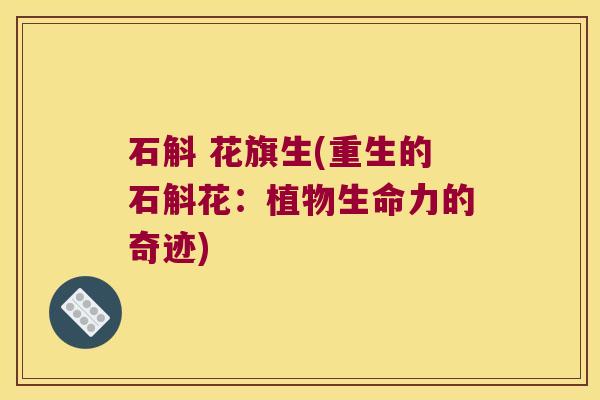石斛 花旗生(重生的石斛花：植物生命力的奇迹)