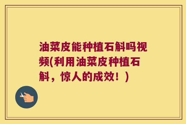 油菜皮能种植石斛吗视频(利用油菜皮种植石斛，惊人的成效！)