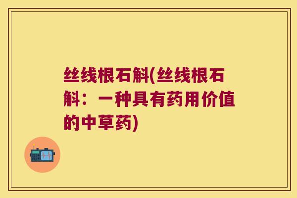 丝线根石斛(丝线根石斛：一种具有药用价值的中草药)