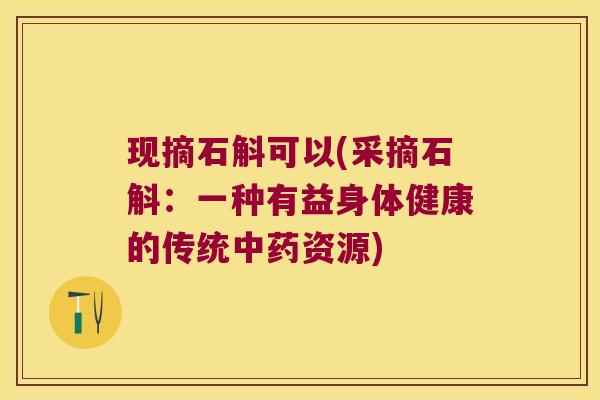 现摘石斛可以(采摘石斛：一种有益身体健康的传统中药资源)