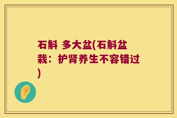 石斛 多大盆(石斛盆栽：护肾养生不容错过)