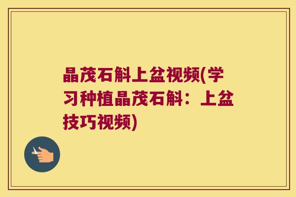 晶茂石斛上盆视频(学习种植晶茂石斛：上盆技巧视频)
