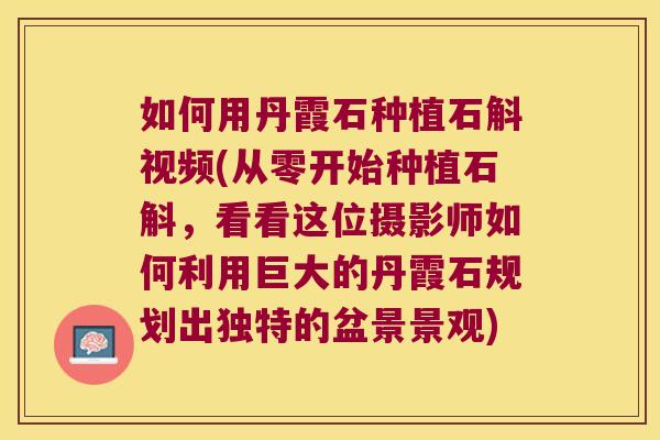 如何用丹霞石种植石斛视频(从零开始种植石斛，看看这位摄影师如何利用巨大的丹霞石规划出独特的盆景景观)