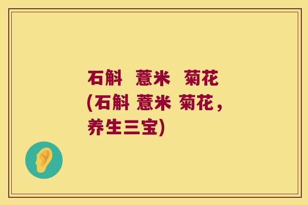 石斛  薏米  菊花(石斛 薏米 菊花，养生三宝)