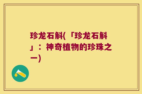 珍龙石斛(「珍龙石斛」：神奇植物的珍珠之一)