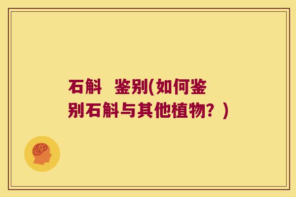 石斛  鉴别(如何鉴别石斛与其他植物？)