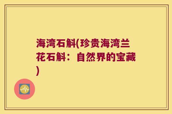 海湾石斛(珍贵海湾兰花石斛:自然界的宝藏) 海湾石斛(珍贵海湾兰花石斛:自然界的宝藏)