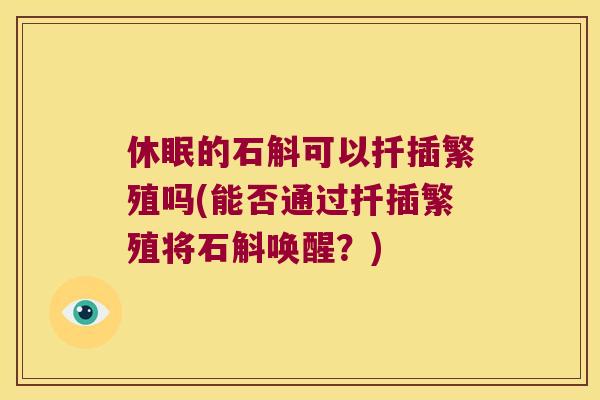 休眠的石斛可以扦插繁殖吗(能否通过扦插繁殖将石斛唤醒？)