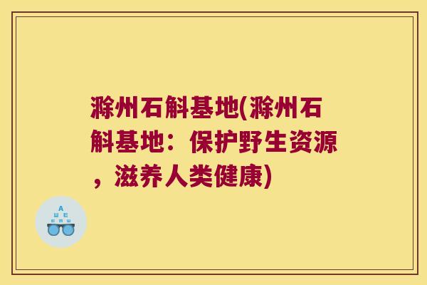 滁州石斛基地(滁州石斛基地：保护野生资源，滋养人类健康)