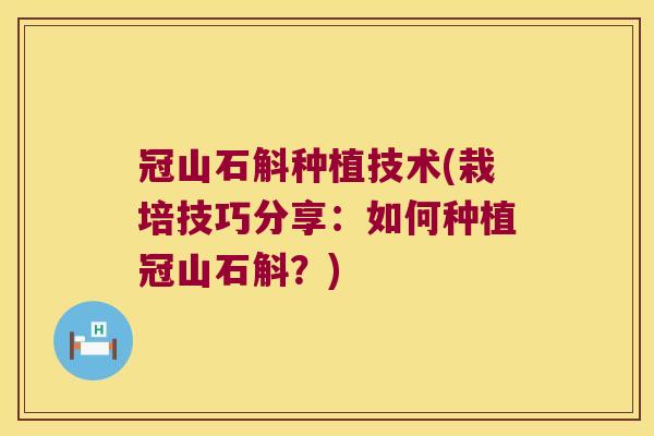 冠山石斛种植技术(栽培技巧分享：如何种植冠山石斛？)