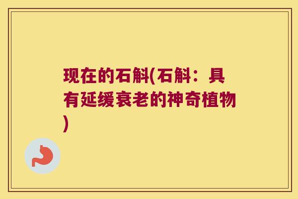 现在的石斛(石斛：具有延缓衰老的神奇植物)
