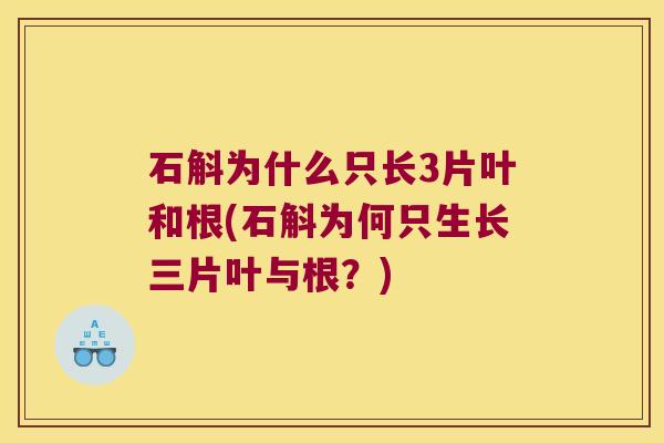 石斛为什么只长3片叶和根(石斛为何只生长三片叶与根？)