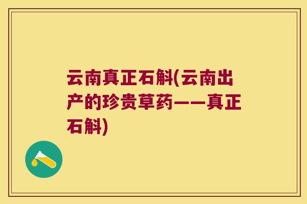 云南真正石斛(云南出产的珍贵草药——真正石斛) 云南真正石斛(云南出产的珍贵草药——真正石斛)