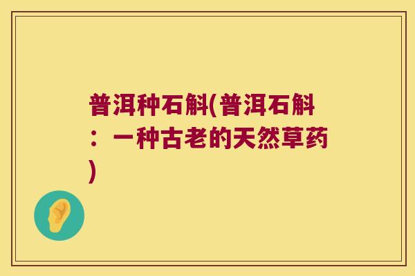 普洱种石斛(普洱石斛:一种古老的天然草药) 普洱种石斛(普洱石斛:一种古老的天然草药)