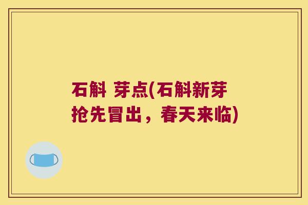 石斛 芽点(石斛新芽抢先冒出，春天来临)