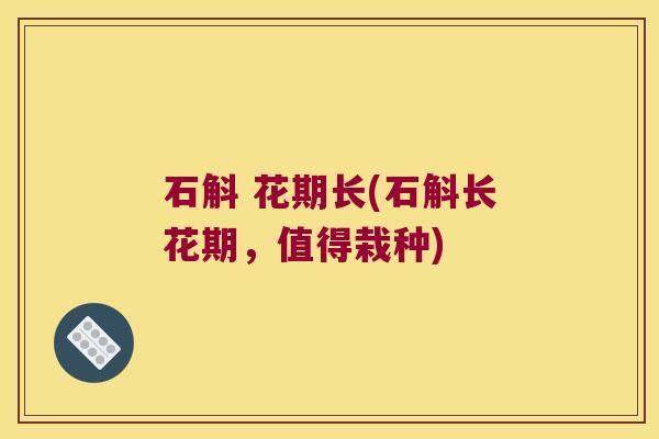 石斛 花期长(石斛长花期，值得栽种)