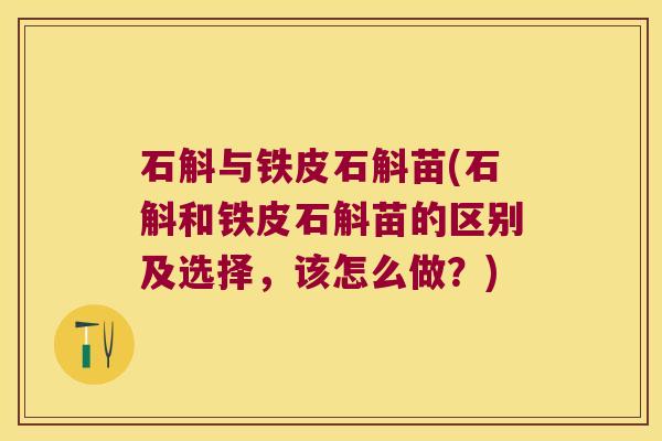 石斛与铁皮石斛苗(石斛和铁皮石斛苗的区别及选择，该怎么做？)