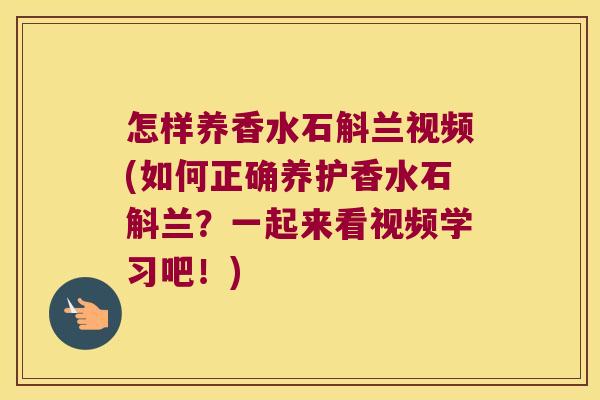怎样养香水石斛兰视频(如何正确养护香水石斛兰？一起来看视频学习吧！)