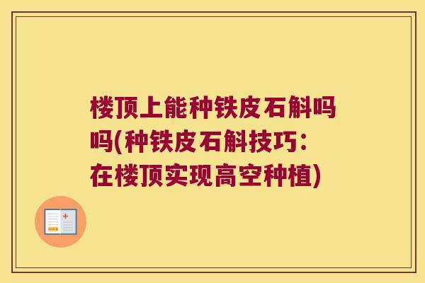 楼顶上能种铁皮石斛吗吗(种铁皮石斛技巧：在楼顶实现高空种植)