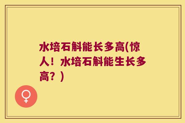 水培石斛能长多高(惊人！水培石斛能生长多高？)
