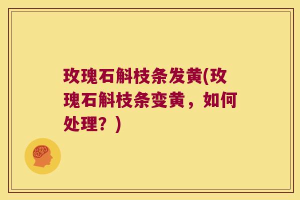 玫瑰石斛枝条发黄(玫瑰石斛枝条变黄，如何处理？)