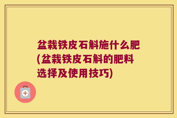 盆栽铁皮石斛施什么肥(盆栽铁皮石斛的肥料选择及使用技巧)