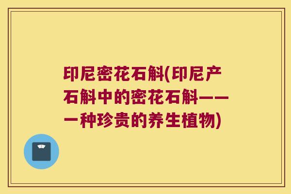 印尼密花石斛(印尼产石斛中的密花石斛——一种珍贵的养生植物) 印尼密花石斛(印尼产石斛中的密花石斛——一种珍贵的养生植物)