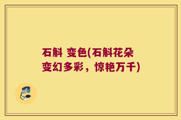 石斛 变色(石斛花朵变幻多彩,惊艳万千) 石斛 变色(石斛花朵变幻多彩,惊艳万千)