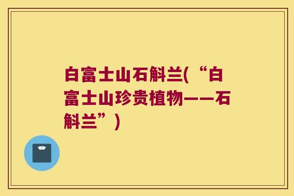 白富士山石斛兰(“白富士山珍贵植物——石斛兰”)