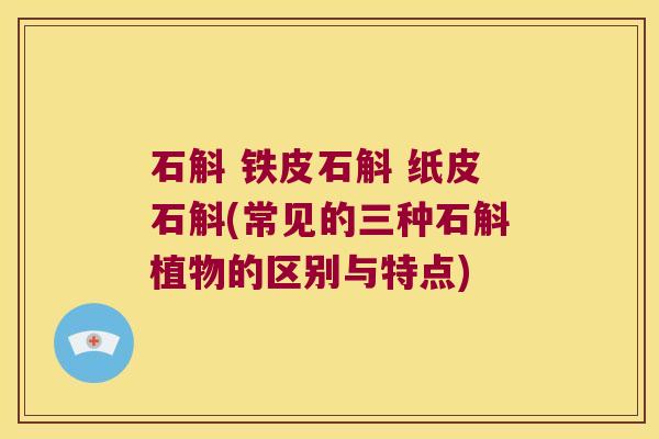 石斛 铁皮石斛 纸皮石斛(常见的三种石斛植物的区别与特点)